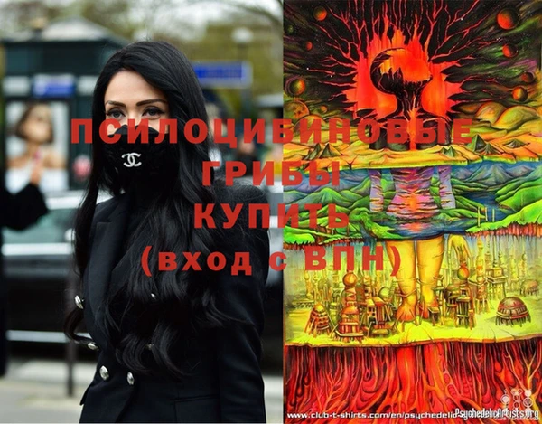 дживик Баксан