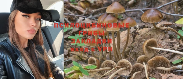 дживик Баксан