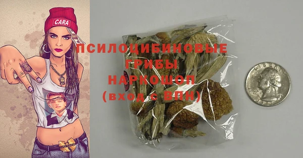 дживик Баксан